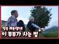 [남도지오그래피] 이 부부가 사는 법 - 장흥 마촌댁네｜KBS 220801 방송