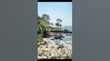 سورة النمل - اسلام صبحي