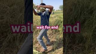 wait for end punni auto cutter #tranding #funny #familyvlog