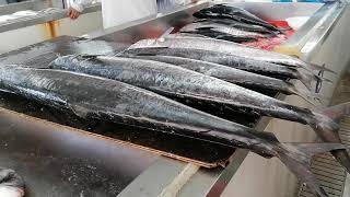 Biggest fish market in muscat | Fish market in muttrah oman