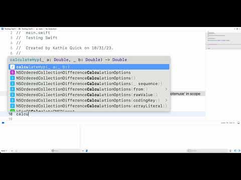 Function Parameters and Return Values