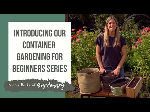Container Gardening for Beginners