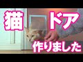 【猫】100均でねこドア製作 DIY Cat Door