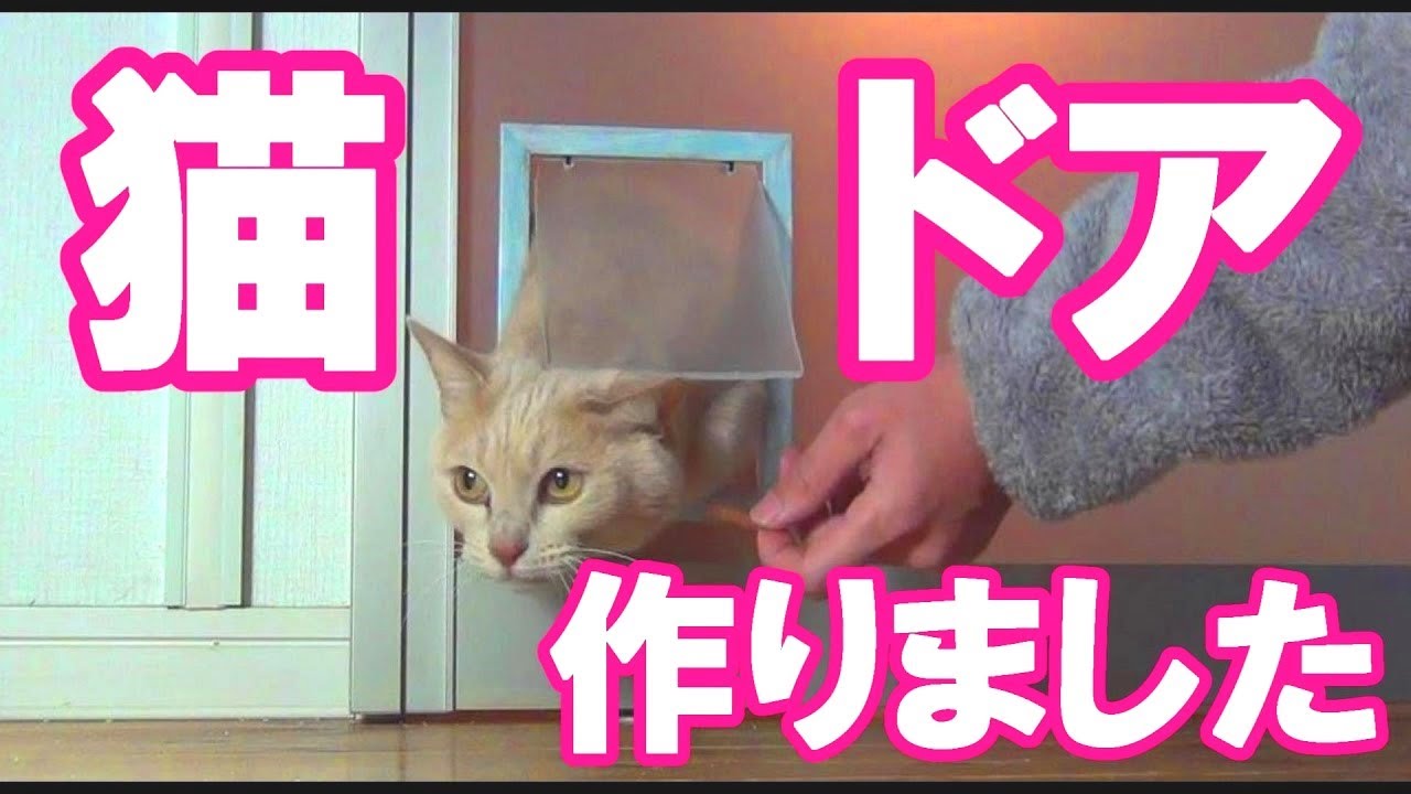 【猫】100均でねこドア製作 DIY Cat Door YouTube