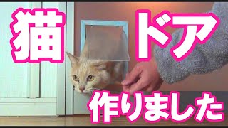【猫】100均でねこドア製作 DIY Cat Door