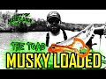 The toadmusky loaded