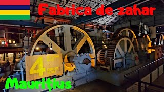 Secretele Fabricării Zahărului De Maurițius - De La Trestia De Zahăr În Ceașca Ta De Cafea