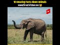 Amazing Facts About Animals 🐹 | Mind Blowing Facts in Hindi | Animal Facts #shorts