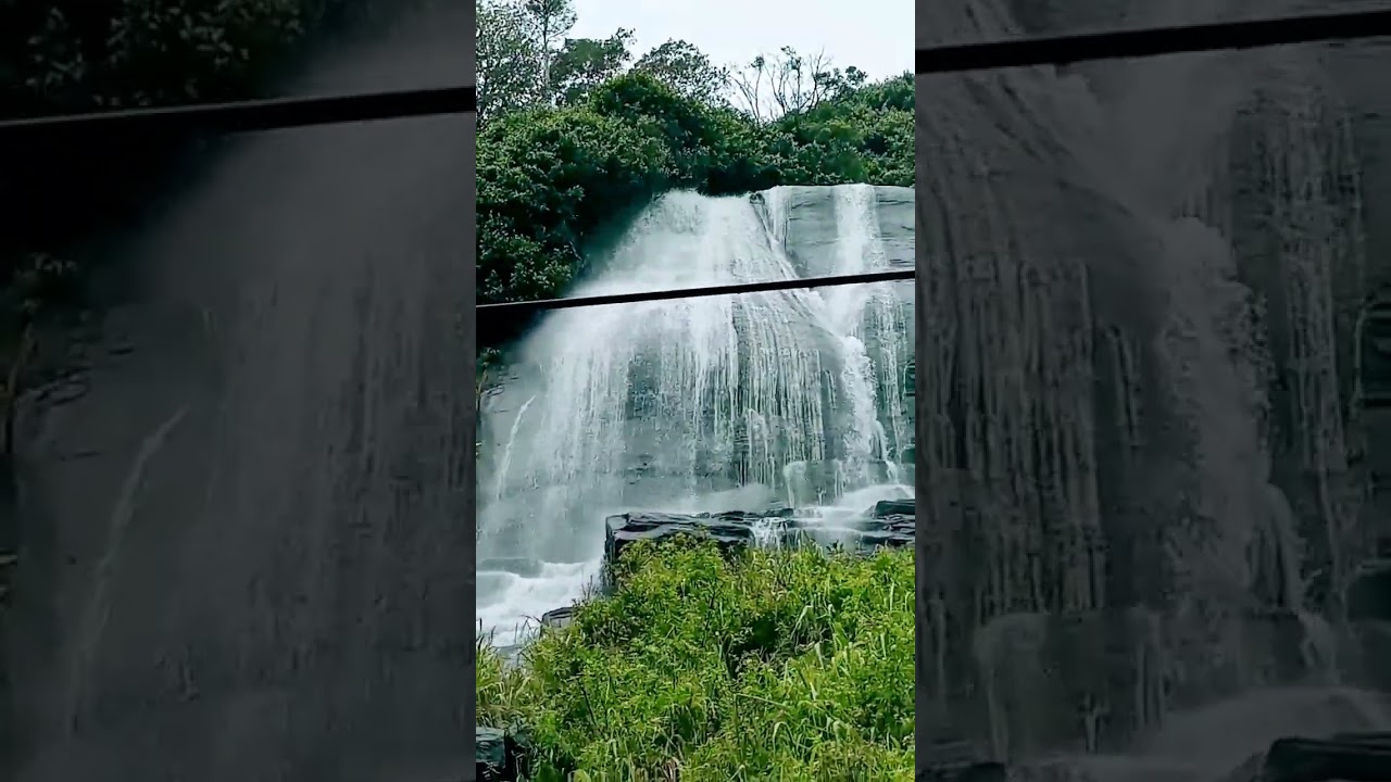 A Lush Canvas Awakens with Emerald Hues and Glistening Droplets 🌧️🌿💧