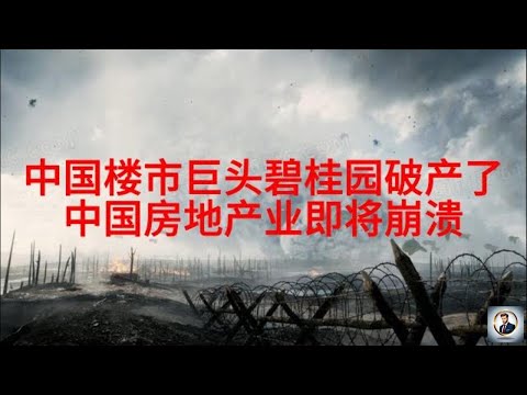 【Boss经济世界】中国楼市巨头碧桂园破产了！中国房地产业即将崩溃！
