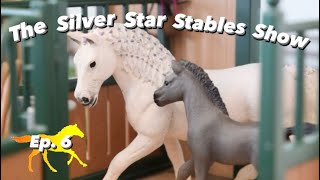 The Silver Star Stables Show - Episode 6 Schleich Horse Role-Play Series