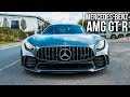 The New Mercedes-Benz AMG GTR!