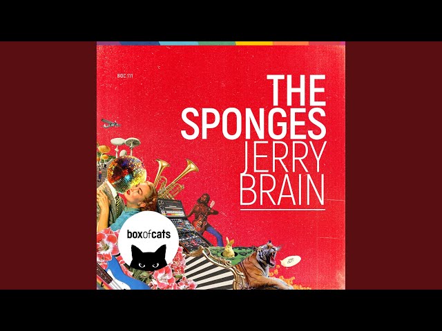 The Sponges - Jerry Brain