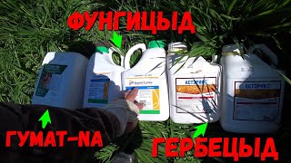 Работаем по Пшенице и Ячменю гербицидом+фунгицидом+гуматом-Na/Защита растений Препаратами!!!