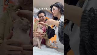 Kedide Kulak Uyuzu #adana#kedi#sphynx #uyuz #kulak