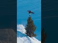 MILLER FLIP TREE PLANT 😮‍💨 (w/ Halldór Helgason)