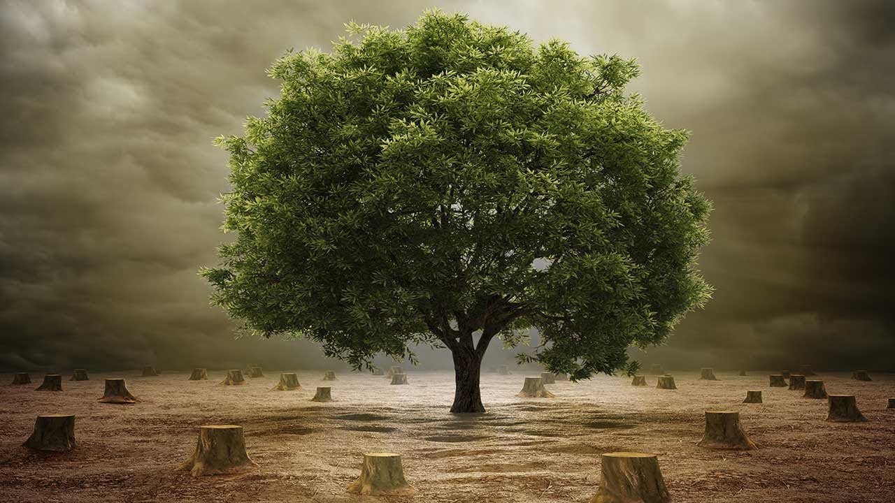 newspaper mockup Humans have already used up Earth's resources for the year