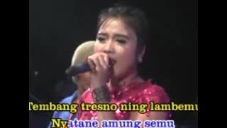 MONATA Rere amora - TEMBANG TRESNO live