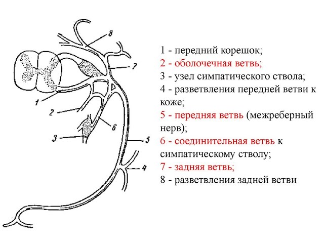 Методические указания