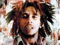 Bob marley and the wailers  hight tide or low tide