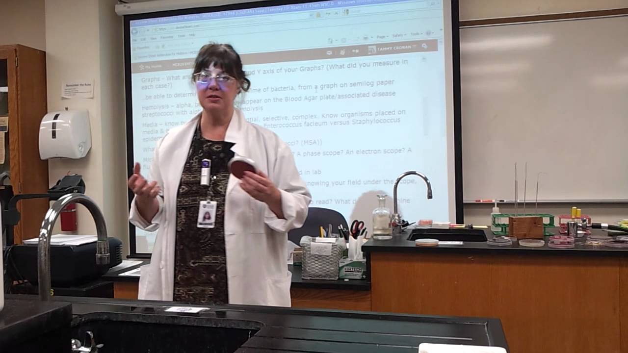 Microbiology Lab Midterm Review, Pt.3 YouTube