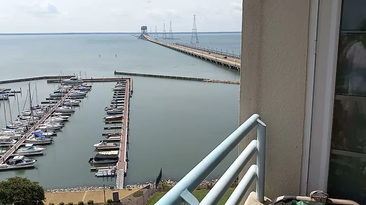 Dolphins Off Newport News Marina by James River Br...