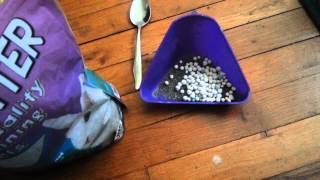 How to Potty Train your Hamster! by Puff Pets 97,585 views 11 years ago 8 minutes, 4 seconds