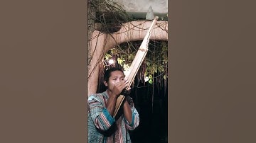 Thumbnail of ลายแคน นกไซบินข้ามทุ่ง #shorts #แคน #traditionalmusic