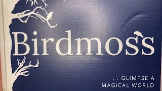 Meet the Feathered Witch in Birdmoss Use Code Misty for $10 Off