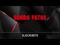 EFECTO SONIDO PATOS