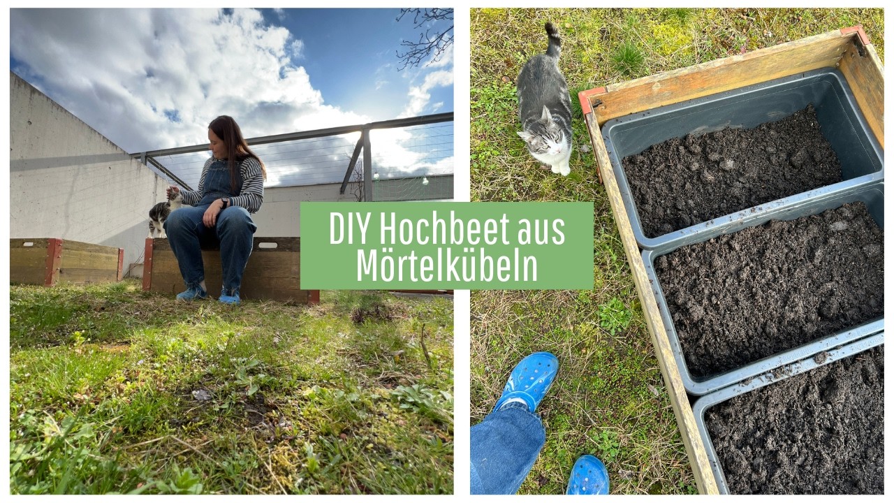 Hochbeet selber bauen mit Mörtelkübeln | Stabil mit SBB Rahmen
