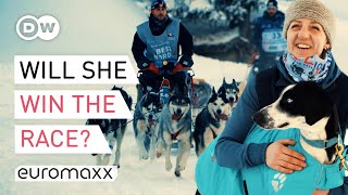 Dog Sled Racing What It Takes To Compete