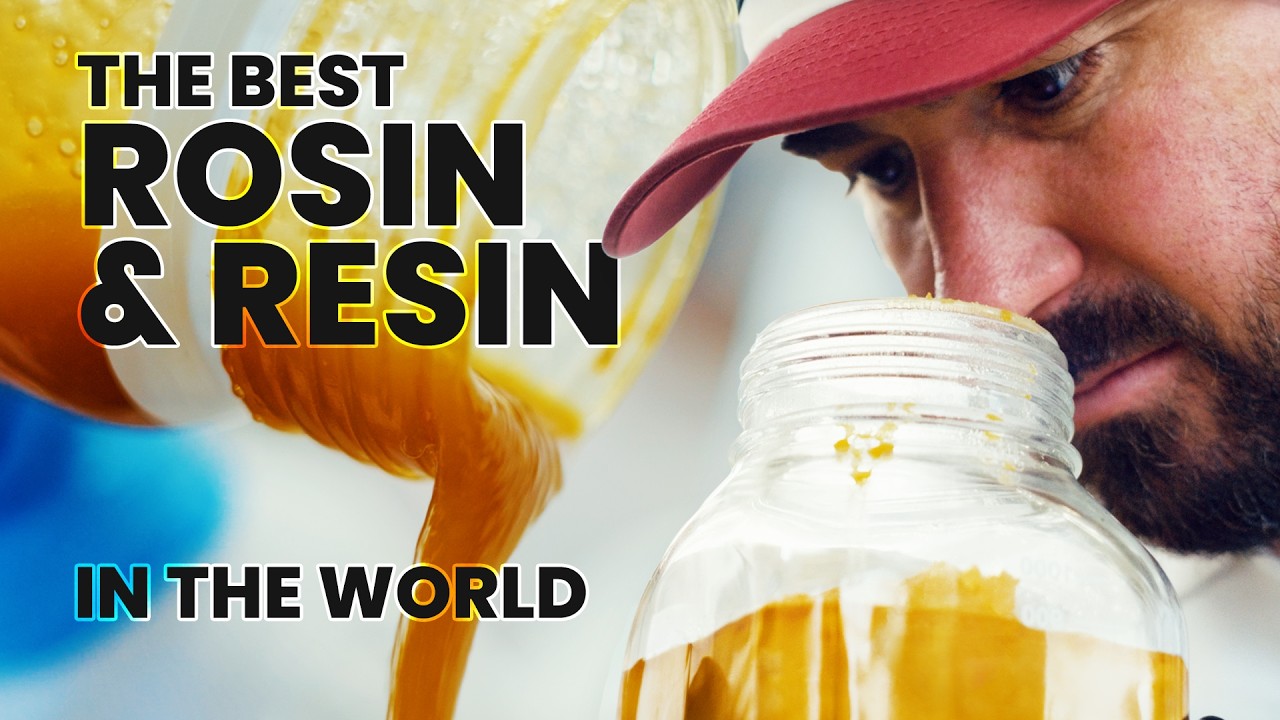 What Makes Live Resin Different From Rosin???