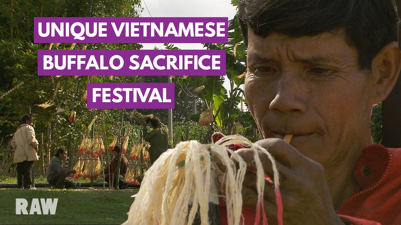 Documentary backdrop image for Preparing the harvest celebration festival: food, dancing, buffalo sacrifice (2023)