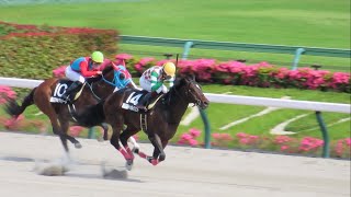 【現地】2024 ディープインパクトC ドゥラレジリエント 鮫島 克駿【東京競馬場】