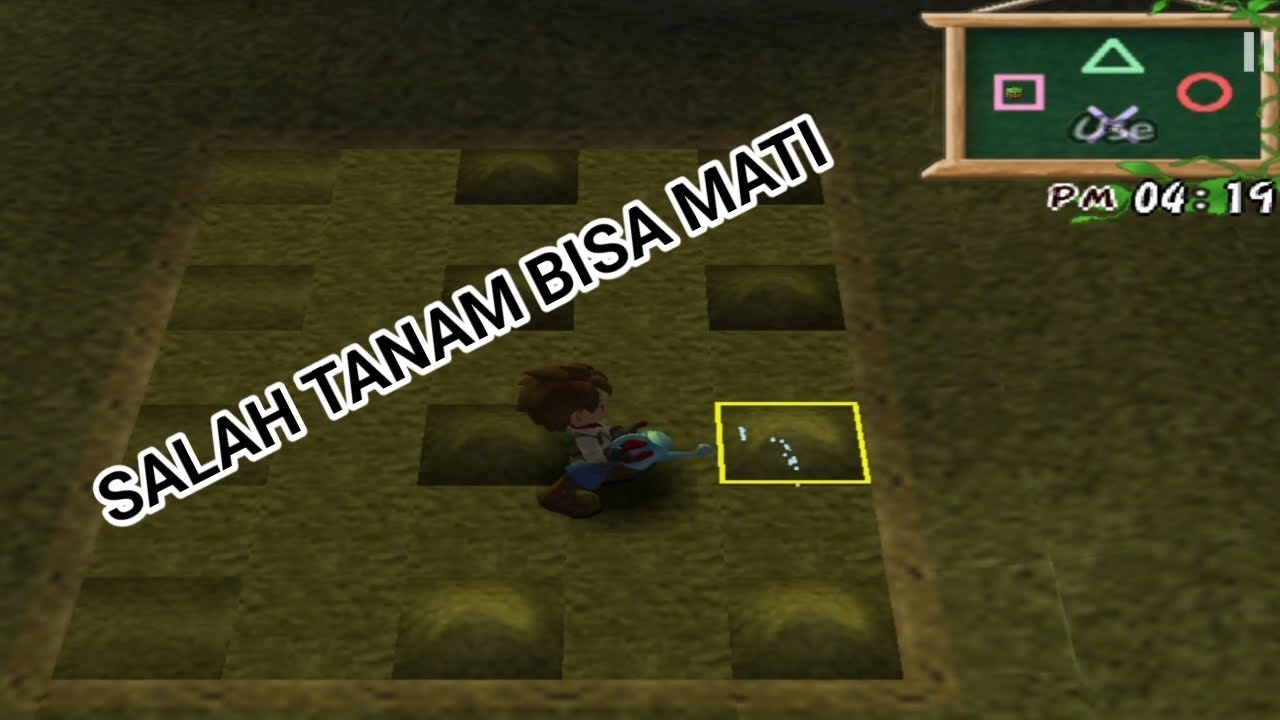 Cara menanam tanaman yang benar di HARVEST MOON A WONDERFUL LIFE 