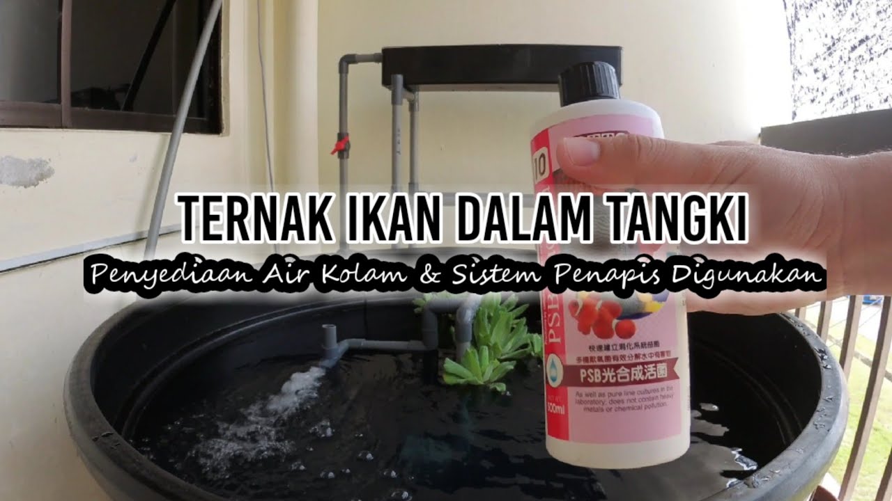 Ternak Ikan Dalam Tangki Polytank | Penyediaan Air Kolam Dan Sistem