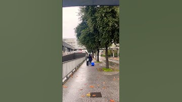 #egzonibrahimi #سورة_الإخلاص #ikhlas #lifeisbutadream #love #ihavethisthingwithplants #mall