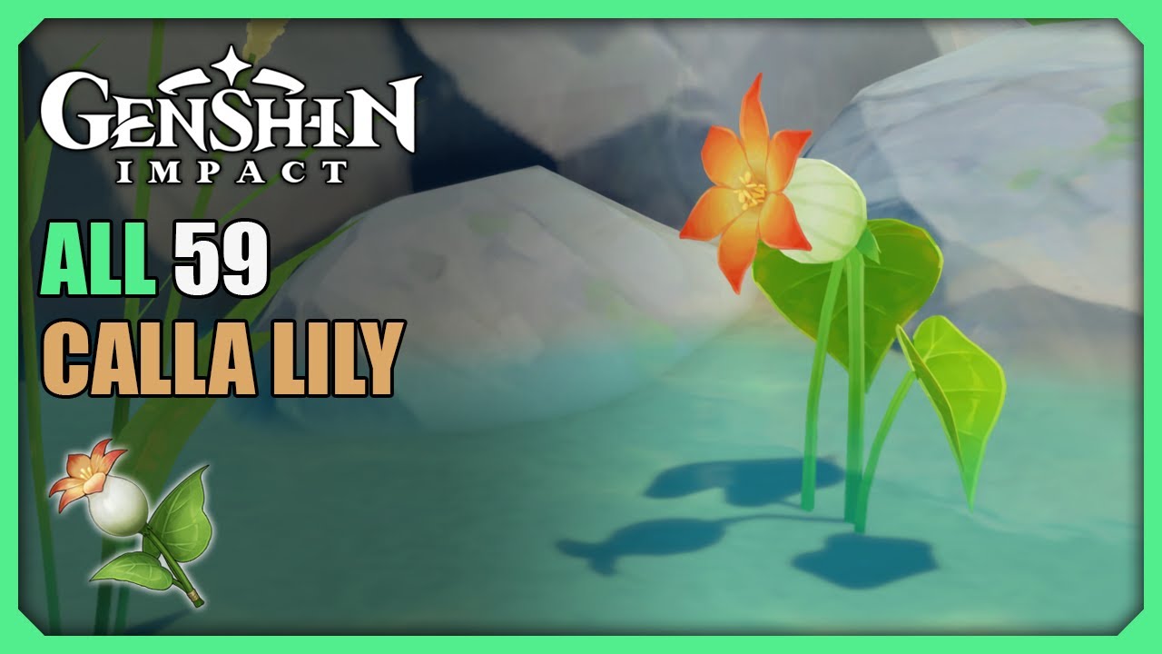 ALL 59 Calla Lily Locations Efficient Farming Route Genshin Impact