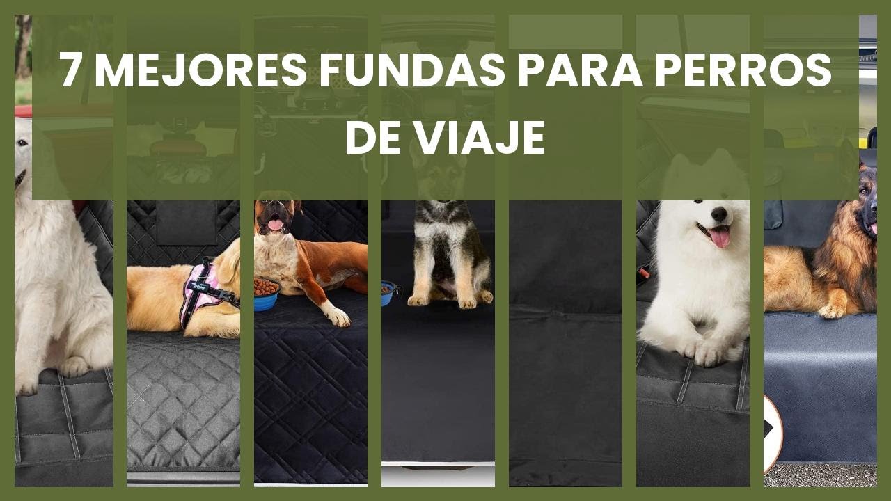 Funda maletero para perros: 7 mejores fundas para perros de viaje 