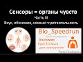 24. Органы чувств - оставшееся  (Speedrun анатомия 8 класс, ЕГЭ, ОГЭ 2021)