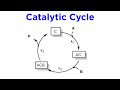 Homogeneous Catalysts in Pharmaceutical Synthesis
