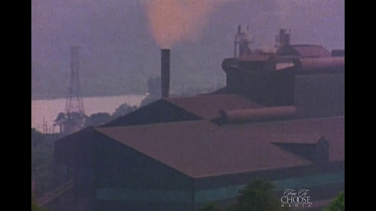 subsidy for junior high school Free To Choose 1990 – The Tyranny of Control - Steel