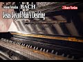 Bach  jesus joy of mans desiring  2 hours version classical music for studying and concentration
