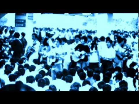 ハチのムサシは死んだのさ
