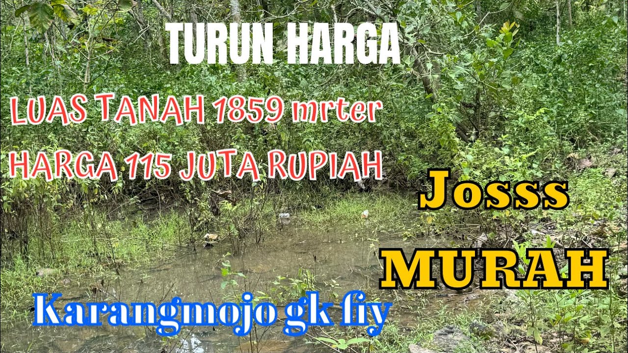 TURUN HARGA (LUAS 1859 METER ) HARGA 115 JUTA RUPIAH @rajiproperty channel