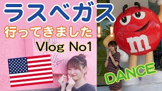 【Vlog】ラスベガスに行ってきました！！！初海外旅行1日目2日目編