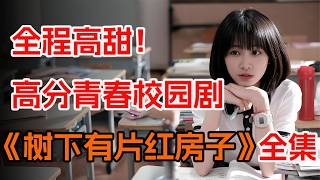 没有狗血和误会,全员反套路的青春校园剧。一口气看完《树下有片红房子》全集。