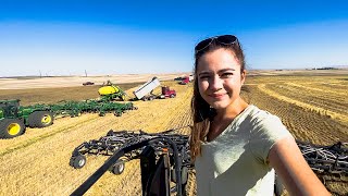 Solo Seeding!  Winter Wheat on our Montana Farm.