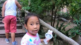 Aviary at Khao Kheaw Open Zoo, Thailand